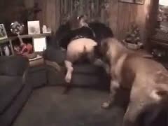 In her dripping wet crack, the adorable puppy gave her mistress an unimaginable drill.